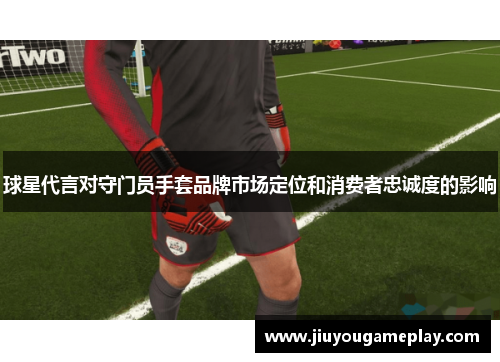 球星代言对守门员手套品牌市场定位和消费者忠诚度的影响
