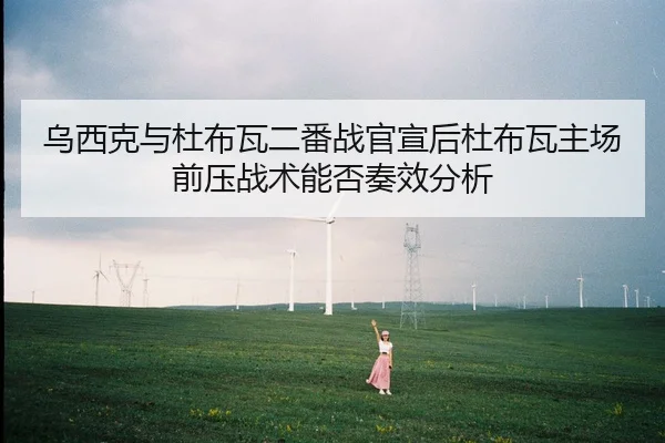 乌西克与杜布瓦二番战官宣后杜布瓦主场前压战术能否奏效分析
