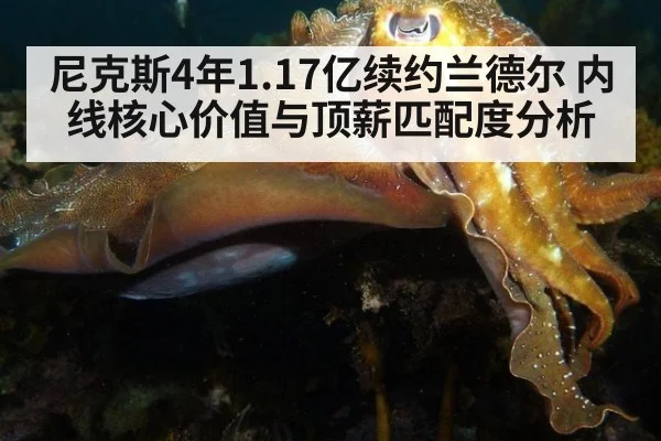 尼克斯4年1.17亿续约兰德尔 内线核心价值与顶薪匹配度分析